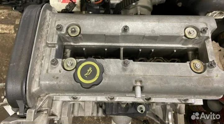 Двигатель Ford Focus 1.6