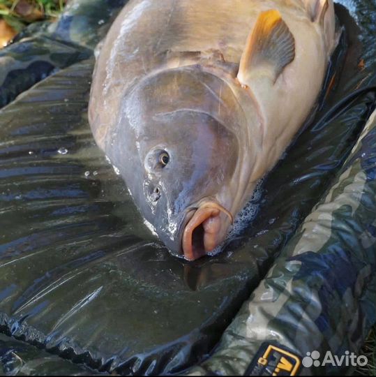 Карповые маты Nash и Prologic