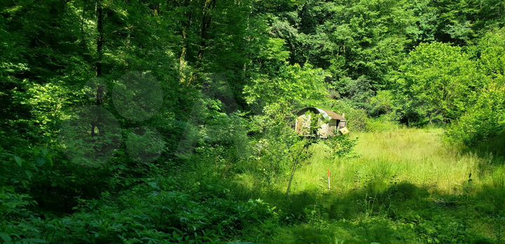 Участок 16 сот. (ИЖС)