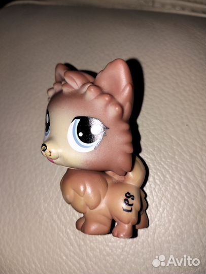Littlest pet shop шпиц