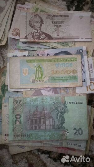 Коллекция