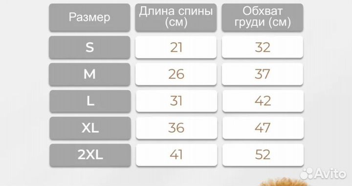 Зимний комбинезон для маленькой собаки