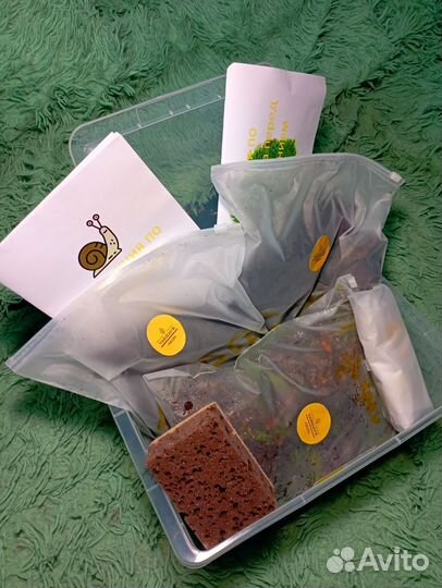 Улиткарий(готовый домик) для улиток