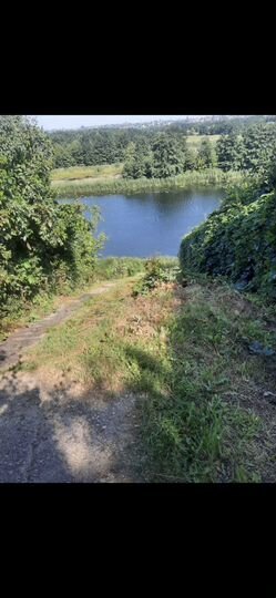 Дача 23,4 м² на участке 5 сот.