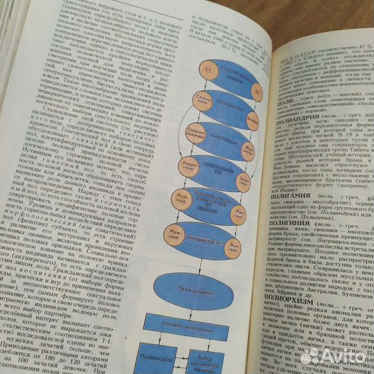 Сексология. Энциклопедия. 1995 г