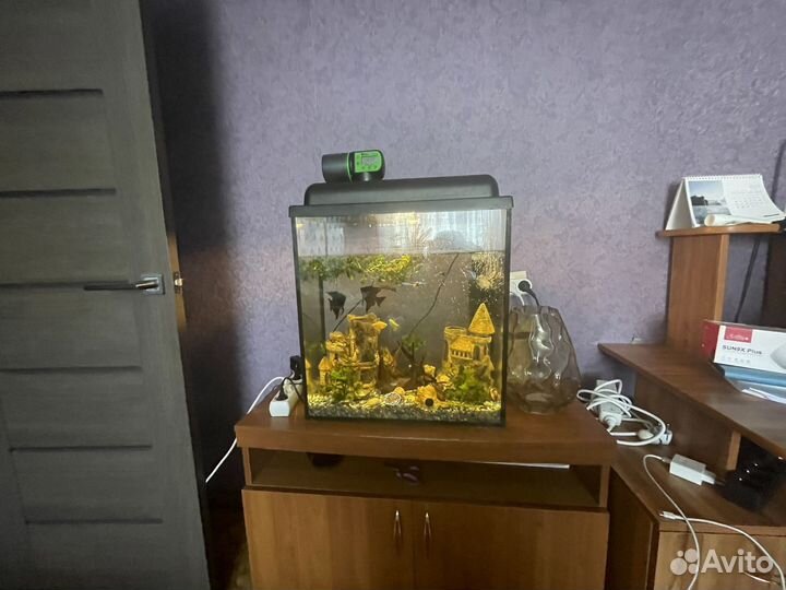 Аквариум с рыбками и тумбой