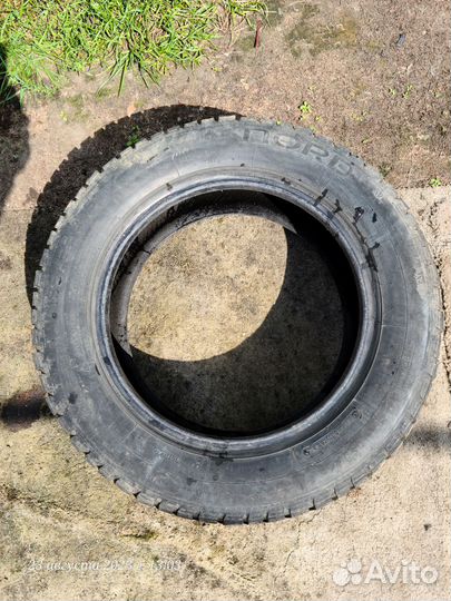 Nord Wolf Cargo 185/65 R15