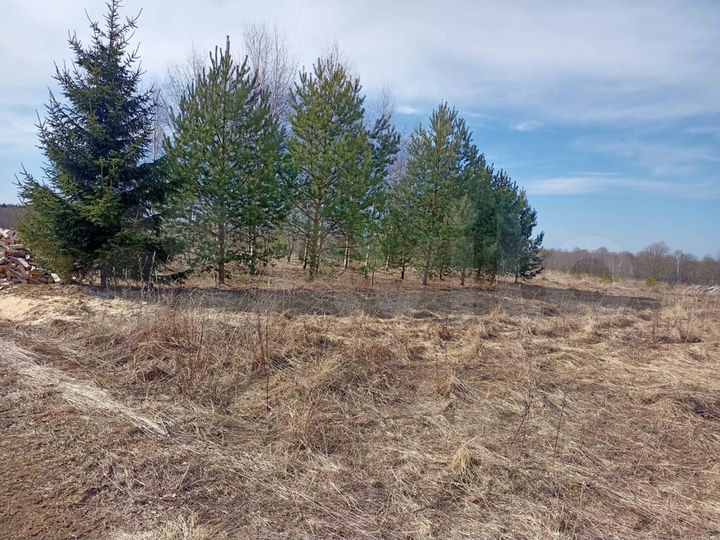 Участок 15 сот. (ИЖС)