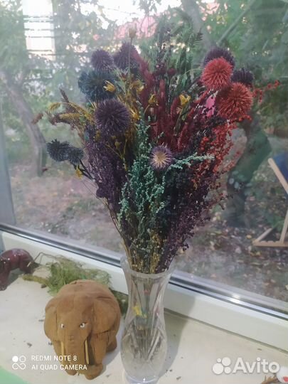 Сухоцветы для декора