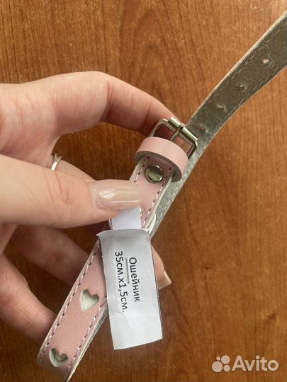 Ошейник для собак и кошек