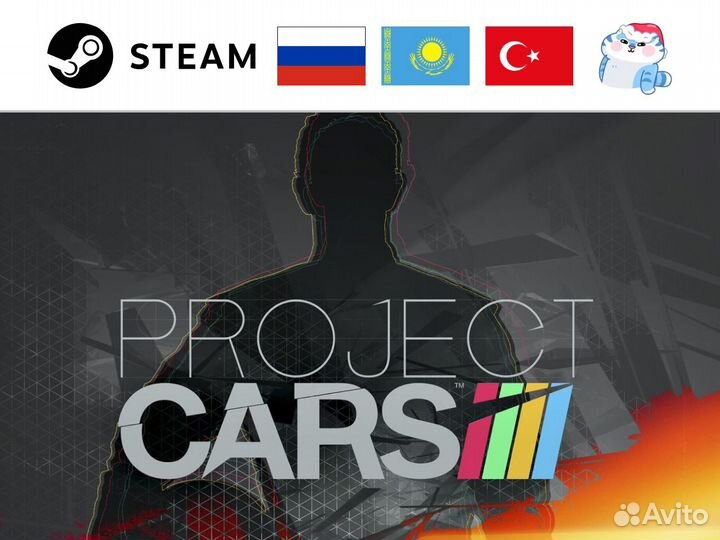 Project Cars (Steam)