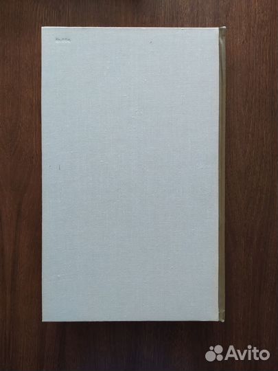 Художественные проблемы Итальянского возрождения