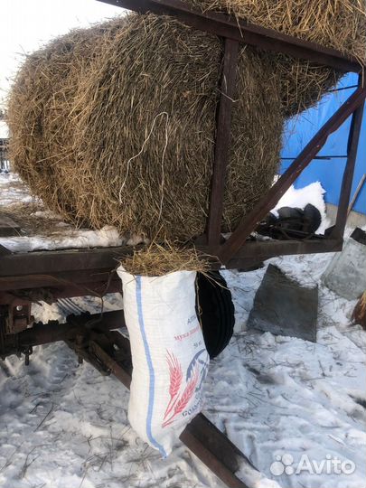 Продам солому пшеничную