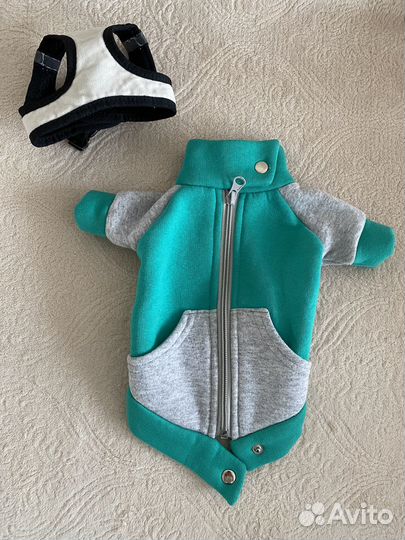 Вещи для маленьких собак