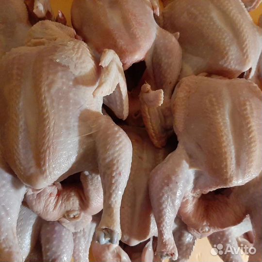Мясо домашнего бройлера
