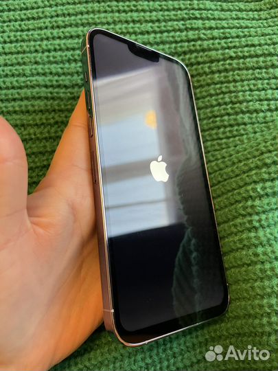 iPhone 13 pro max в корпусе 10хр