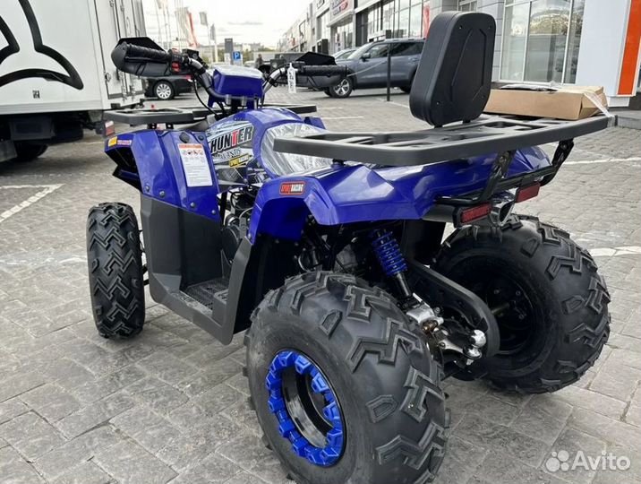 Avantis Hunter new lux