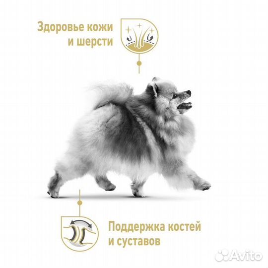 Сухой корм RC Pomeranian для померанского шпица, 1