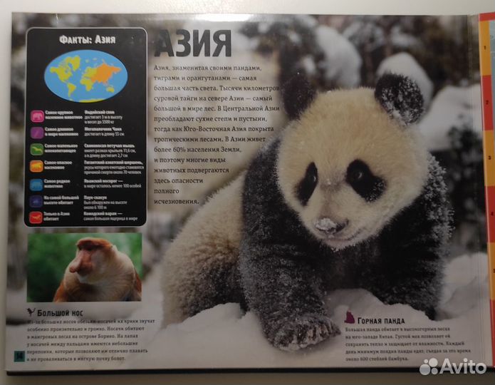Атлас животные мира и Атлас мира для детей