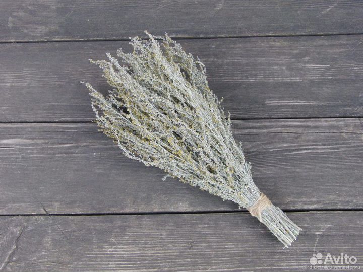 Полынь горькая