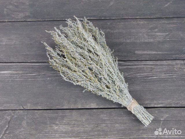 Полынь горькая