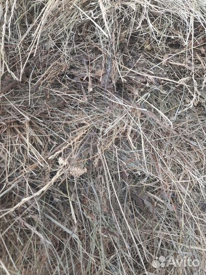 Сено луговое