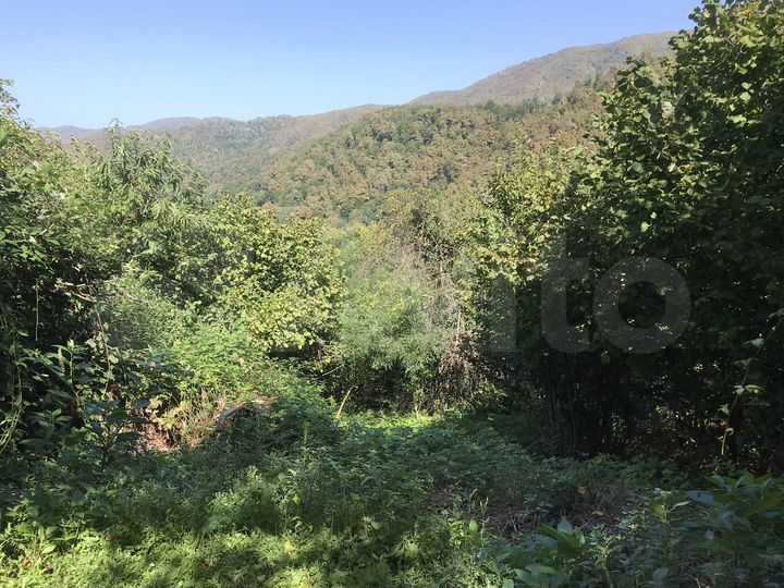 Дача 60 м² на участке 32 сот.