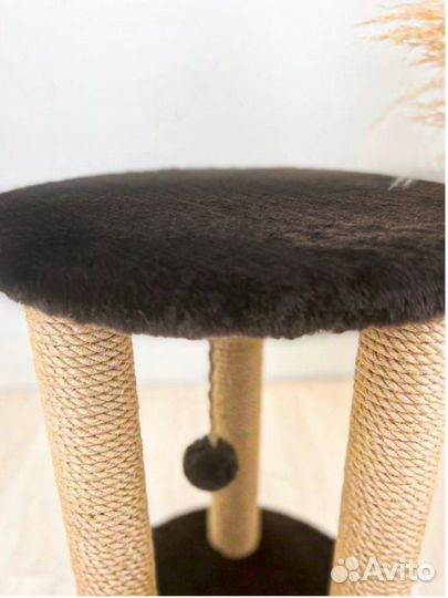 Когтеточка для кошки