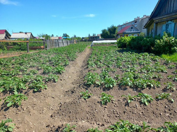 Дача 49,8 м² на участке 13,1 сот.