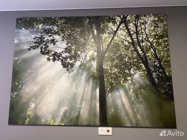 Картина постер IKEA икея 200 140