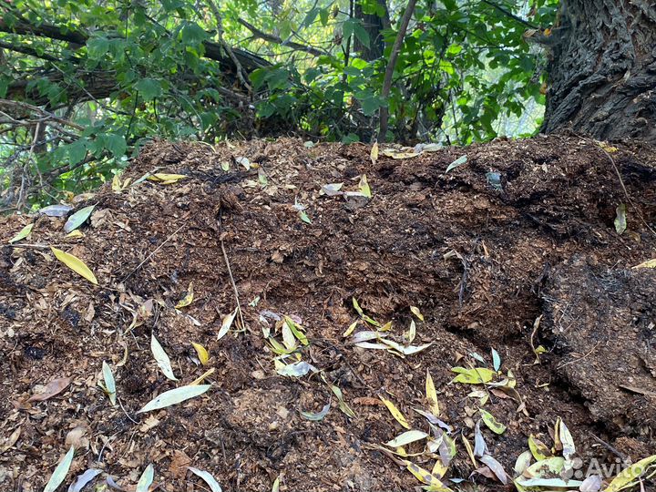 Конский навоз (перегной ) в мешках