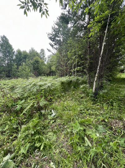 Дача 18 м² на участке 8,1 сот.