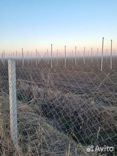 Столбы для забора бетонные