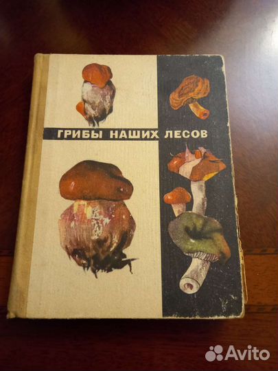Грибы наших лесов. Книга