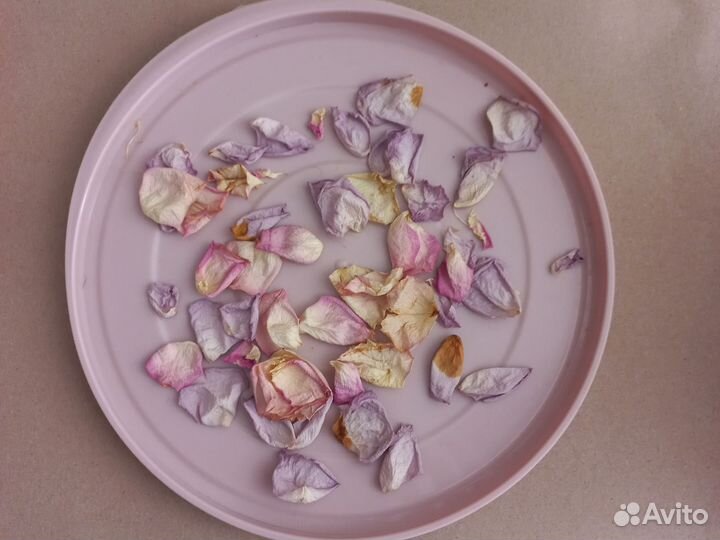 Сухоцветы розы