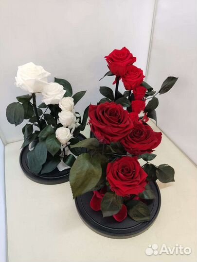 Роза в колбе оптом