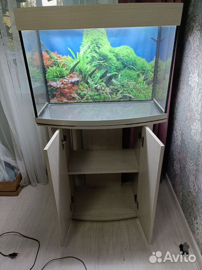 Аквариум 100 литров