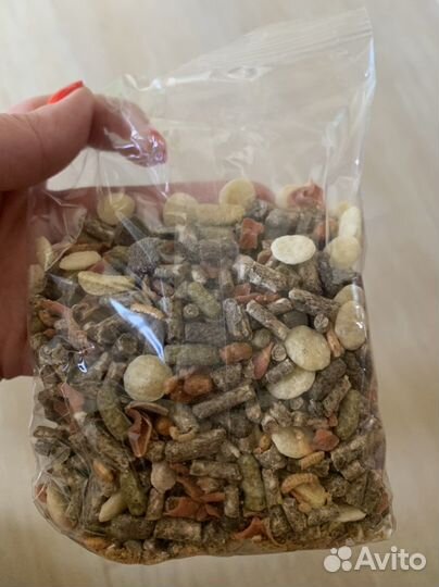 Корм для сухопутных черепах. Бесплатно