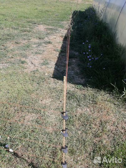 Электропастух