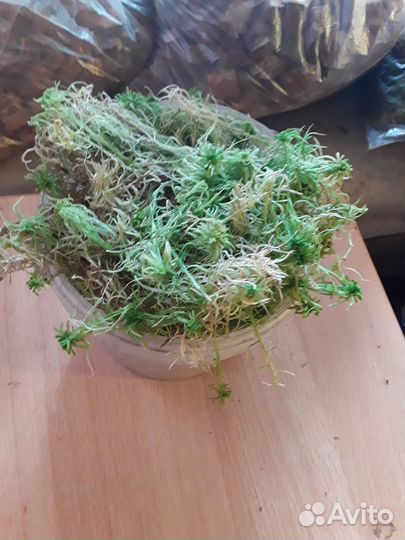 Наборы для орхидей, варённая кора