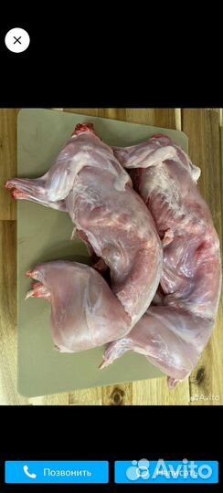 Кролики мясных пород