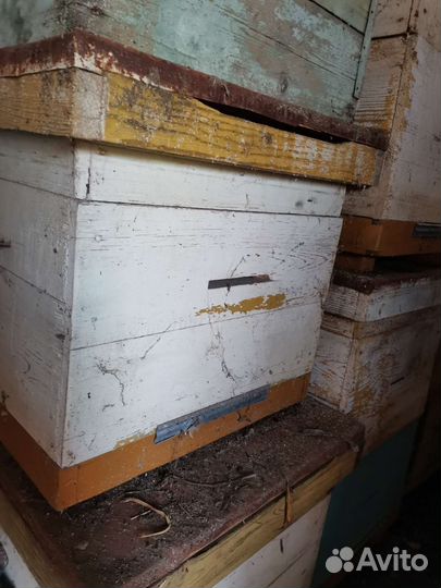 Ульи для пчел бу