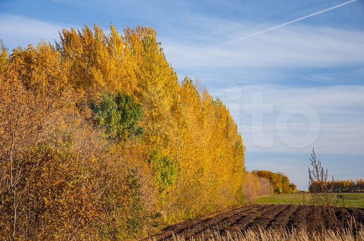 Участок 6 сот. (ИЖС)