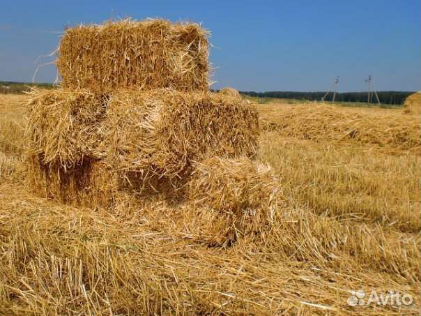 Солома в тюках