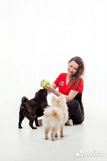 Зоогостиница (передержка)