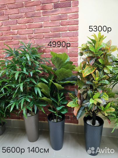 Деревья искусственные Премиум Фикус цветок