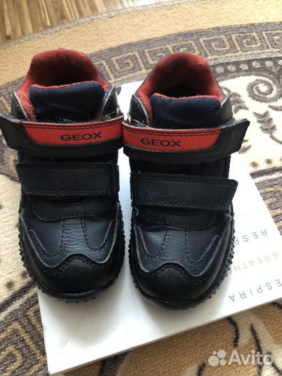 Ботинки демисезонные geox