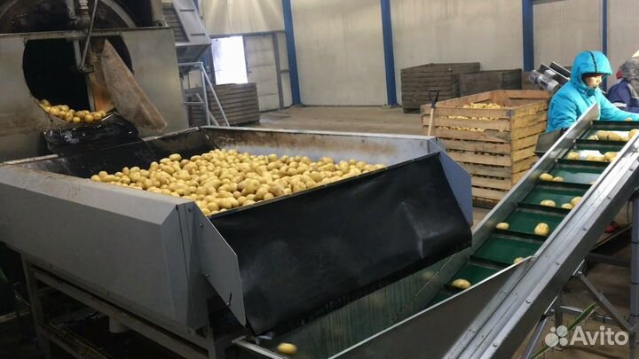 Оборудование для линий мойки, сушки, чистки овощей