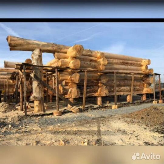 Сруб дома из бревна