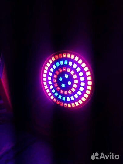 Фитолампа + удлинитель